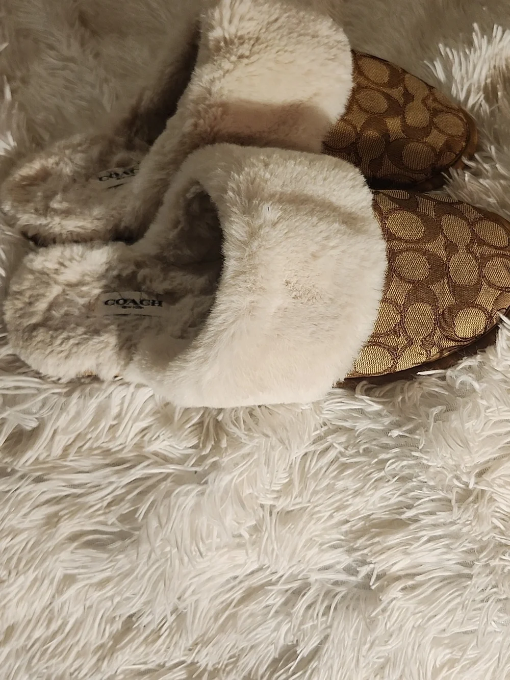 Coach slippers signature